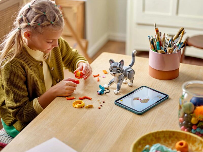 LEGO Creator 3-in-1 Speelse kat - 31163 - Afbeelding 8