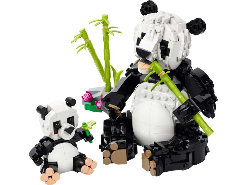 31165_Prod LEGO Creator 3-in-1 Wilde dieren: pandafamilie - 31165 - Afbeelding 3