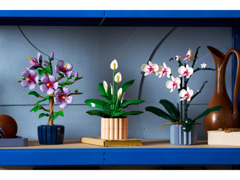 LEGO Botanicals Lepelplant - 11504 - Afbeelding 11