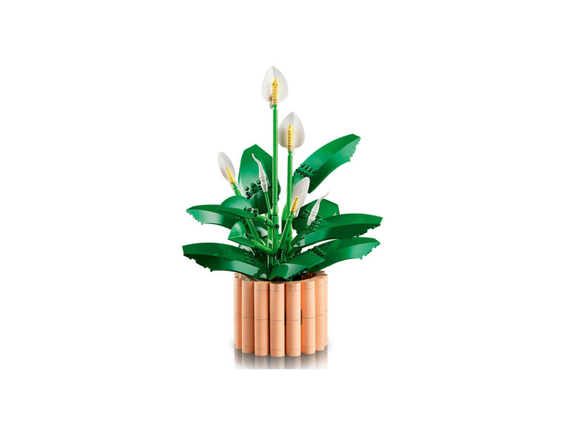 LEGO Botanicals Lepelplant - 11504 - Afbeelding 2