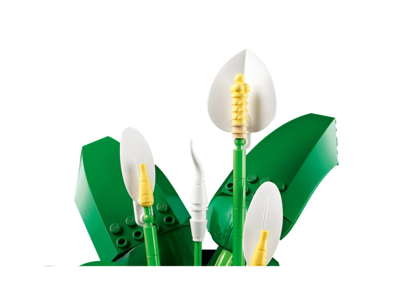 LEGO Botanicals Lepelplant - 11504 - Afbeelding 5
