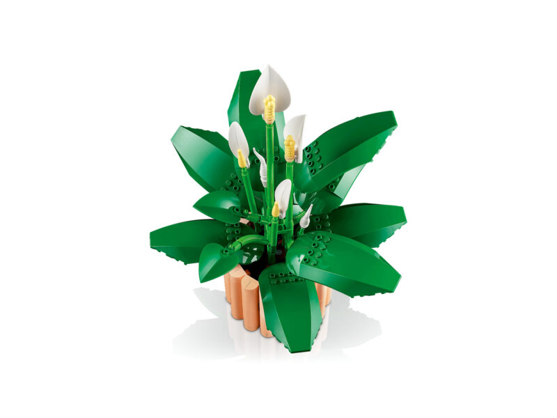 LEGO Botanicals Lepelplant - 11504 - Afbeelding 3
