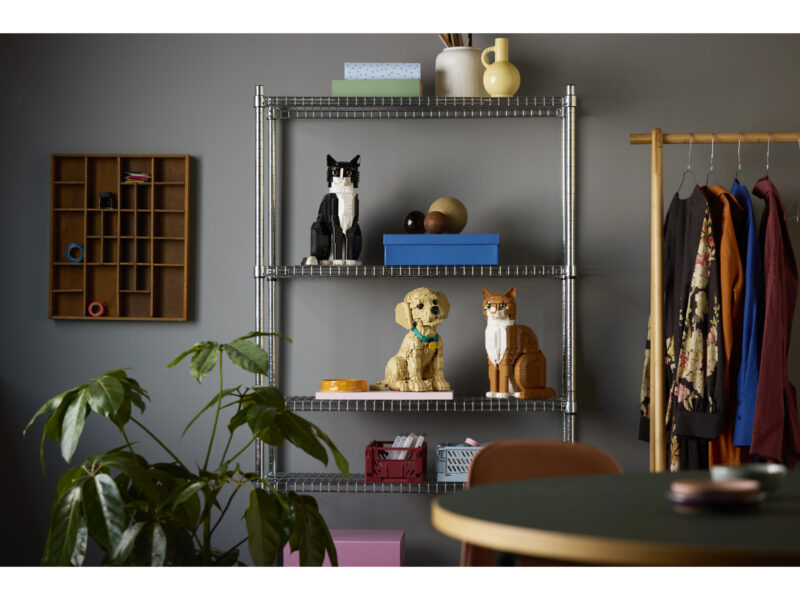 LEGO Icons Golden retriever puppy - 11384 - Afbeelding 11