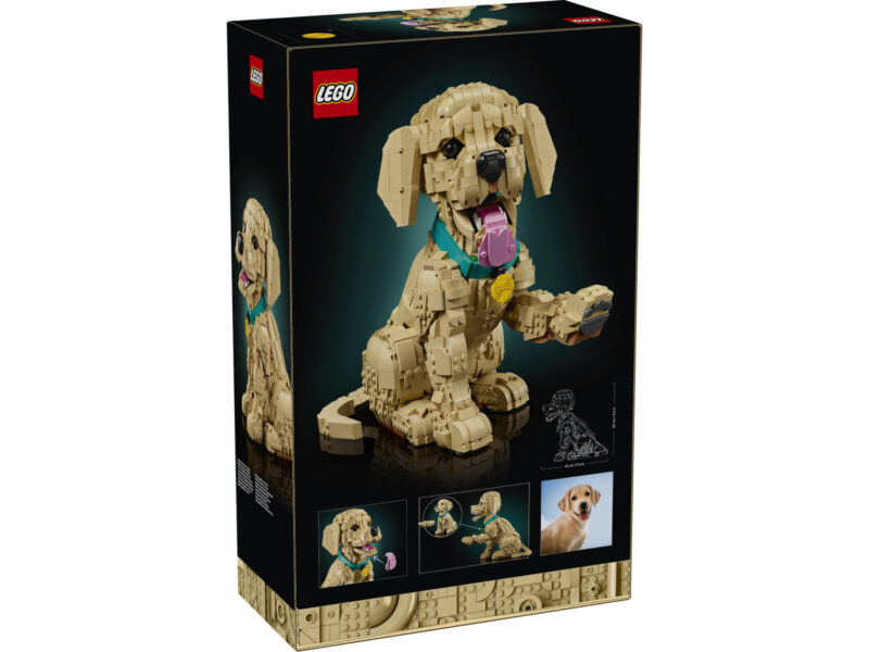 LEGO Icons Golden retriever puppy - 11384 - Afbeelding 7