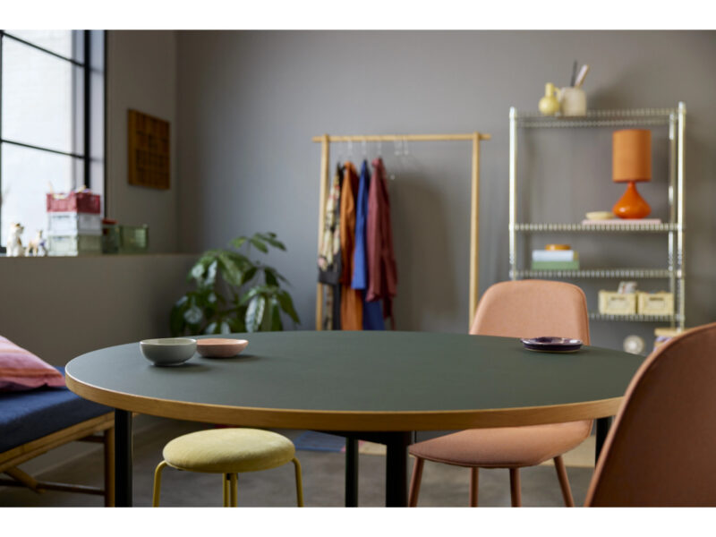 LEGO Icons Golden retriever puppy - 11384 - Afbeelding 10