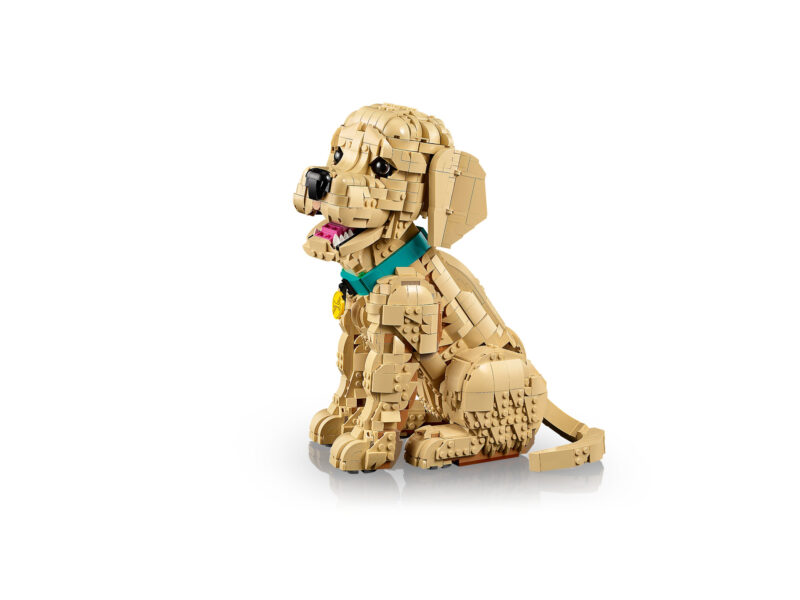 LEGO Icons Golden retriever puppy - 11384 - Afbeelding 4