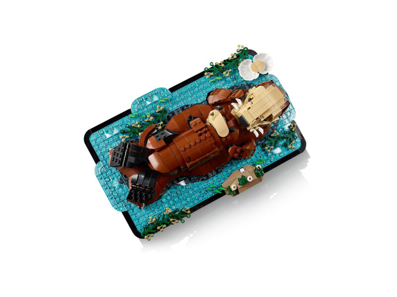 LEGO Ideas Drijvende zeeotters - 21366 - Afbeelding 4