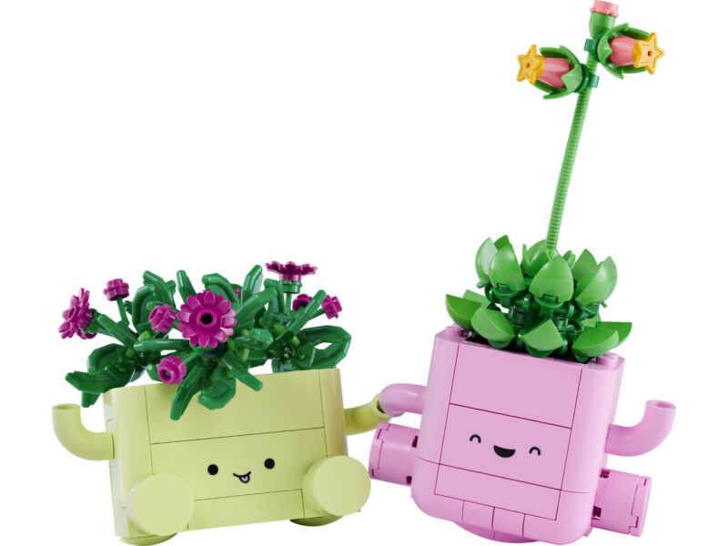 LEGO Botanicals Schommelende plantjes - 11506 - Afbeelding 6