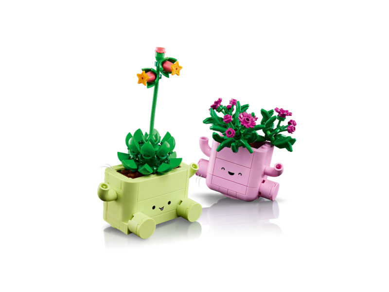 LEGO Botanicals Schommelende plantjes - 11506 - Afbeelding 4
