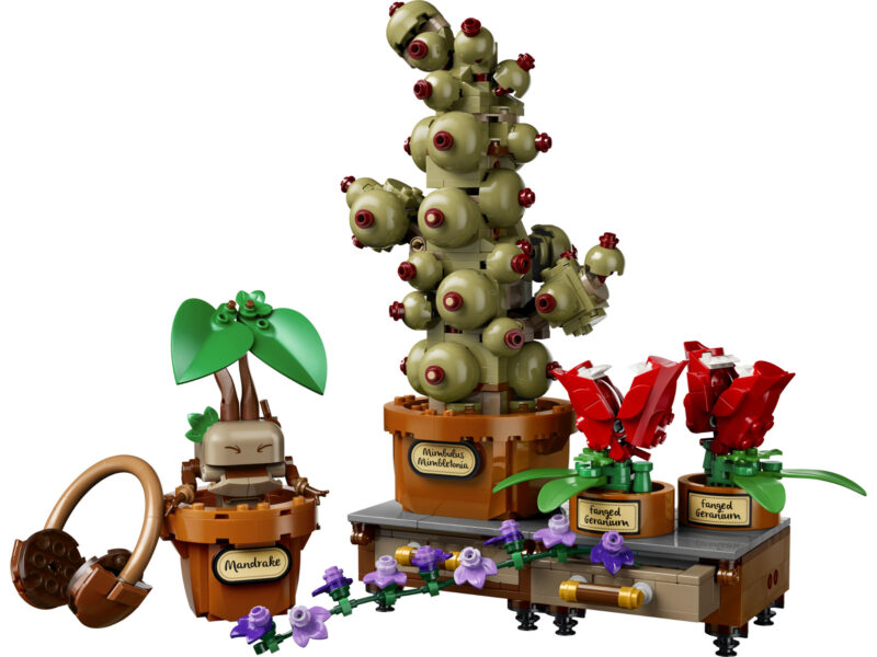 LEGO Harry Potter Zweinstein Kruidenkunde planten - 76474 - Afbeelding 5